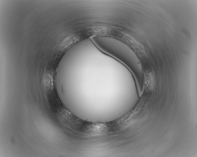 X0000115490333200911201602