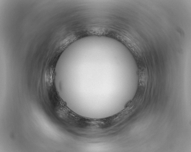 X0000115490334200911201602
