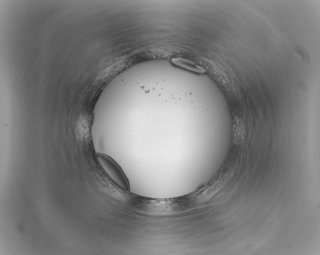 X0000115490335200911201602