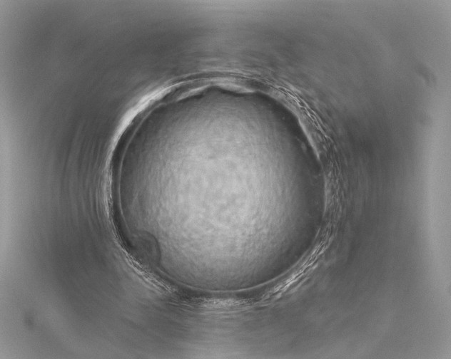 X0000115490342200911201602