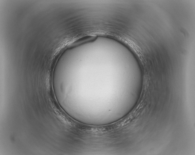 X0000115490345200911201602