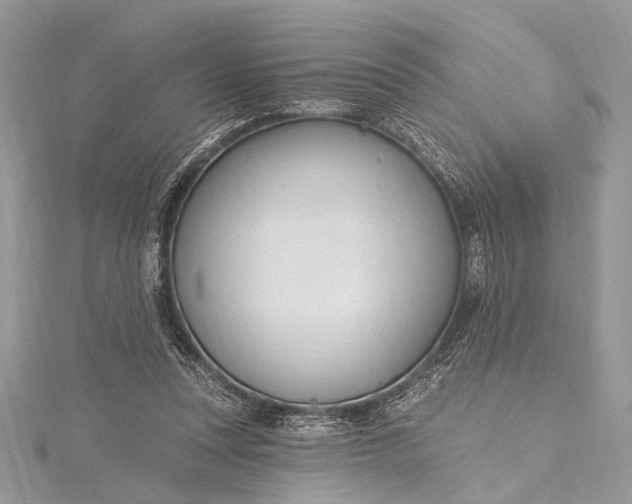 X0000115490351200911201602