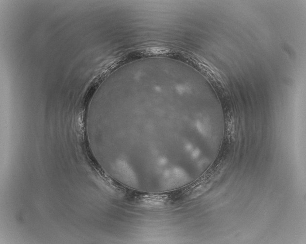 X0000115490373200911201602