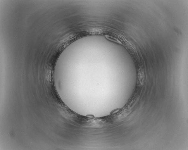 X0000115490379200911201602