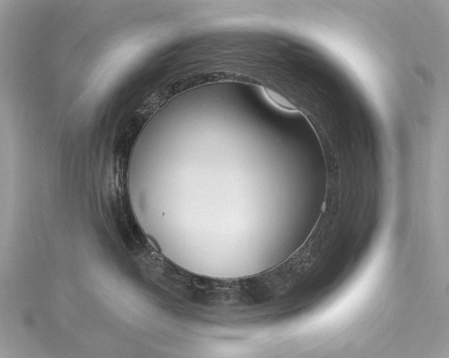 X0000115490382200911201602