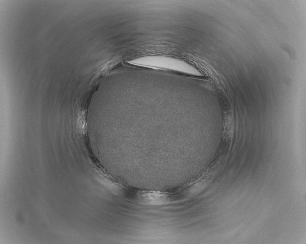 X0000115490383200911201602