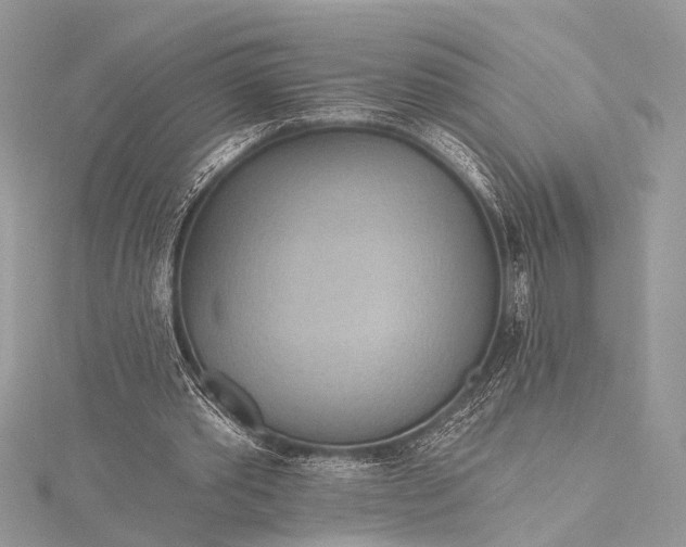 X0000115490389200911201601