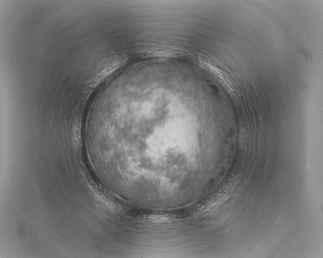 X0000115490394200911201601