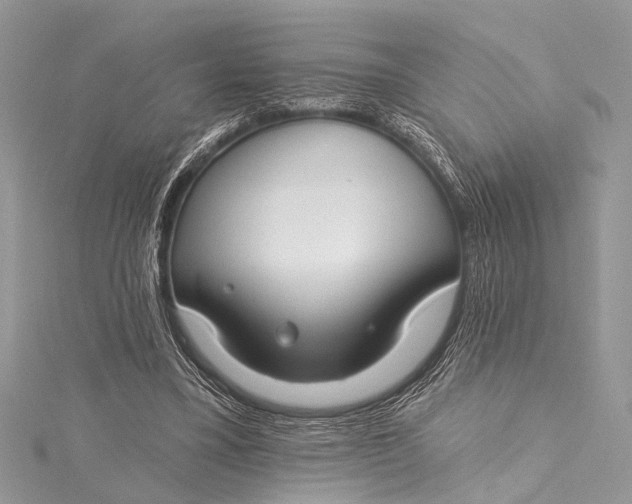 X0000115490395200911201601