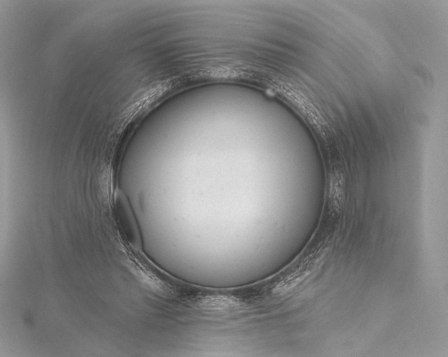 X0000115490397200911201601
