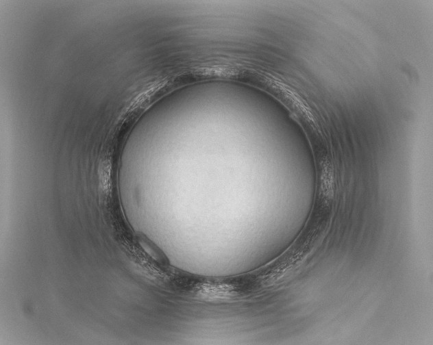 X0000115490403200911201601