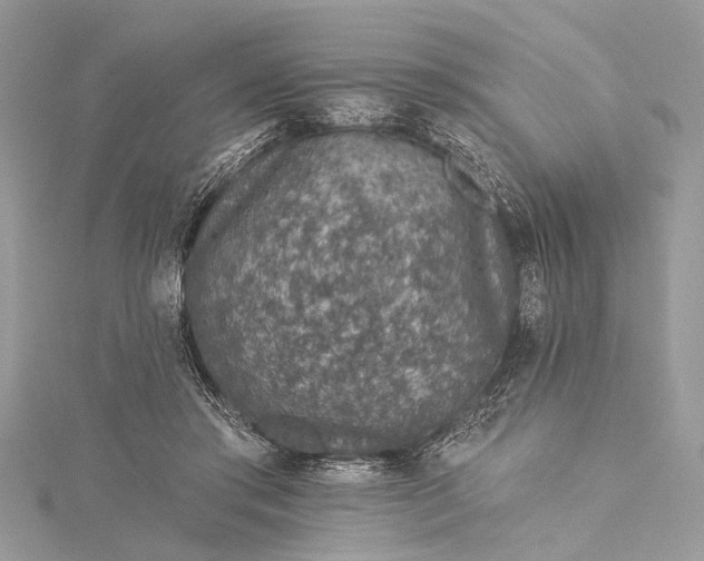 X0000115490405200911201601