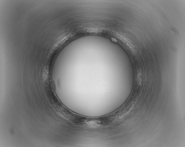X0000115490407200911201601