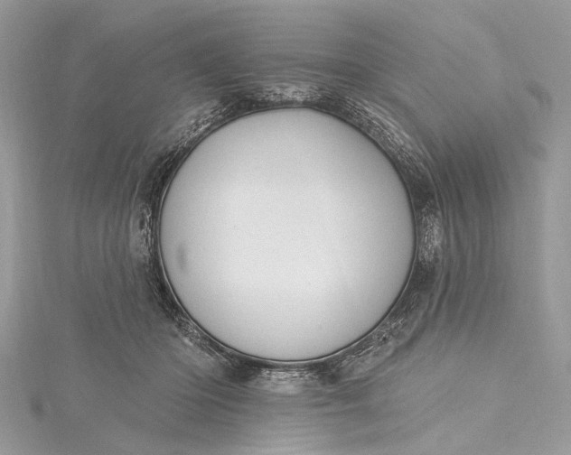 X0000115490414200911201601