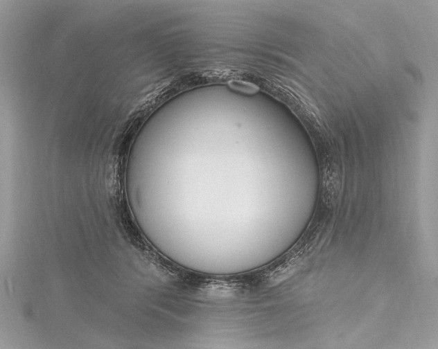X0000115490416200911201601