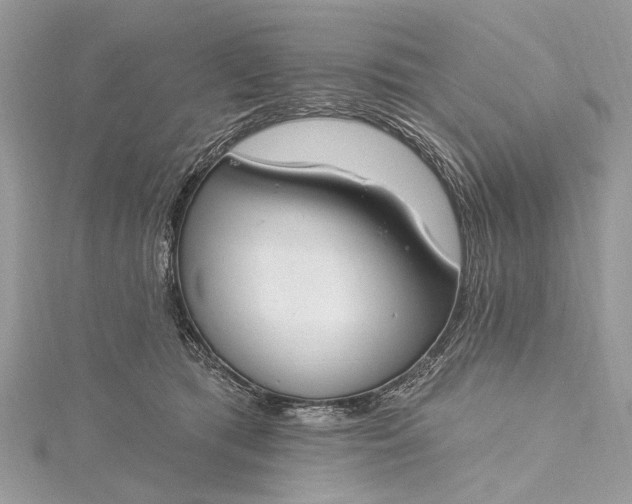 X0000115490417200911201601
