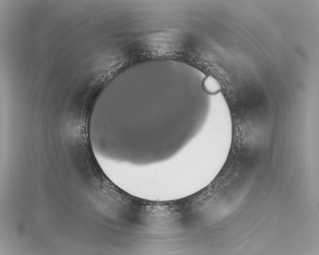 X0000115490419200911201601