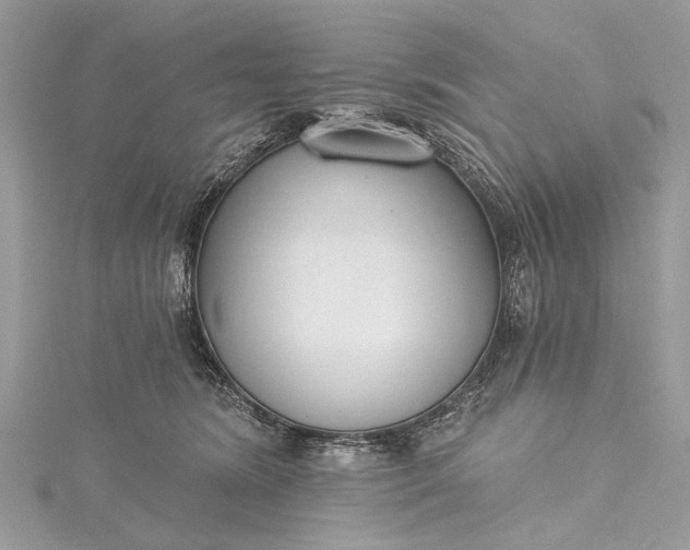 X0000115490420200911201601