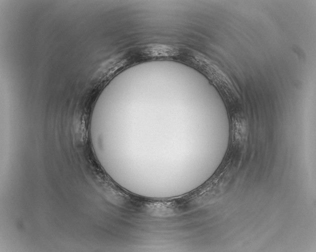 X0000115490422200911201601