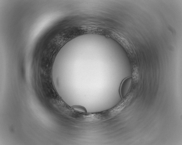 X0000115490430200911201601
