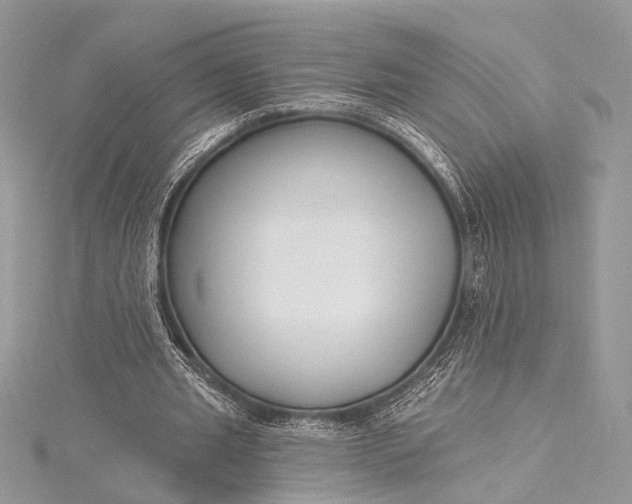 X0000115490437200911201600