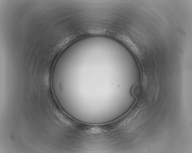 X0000115490441200911201600