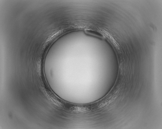 X0000115490442200911201600