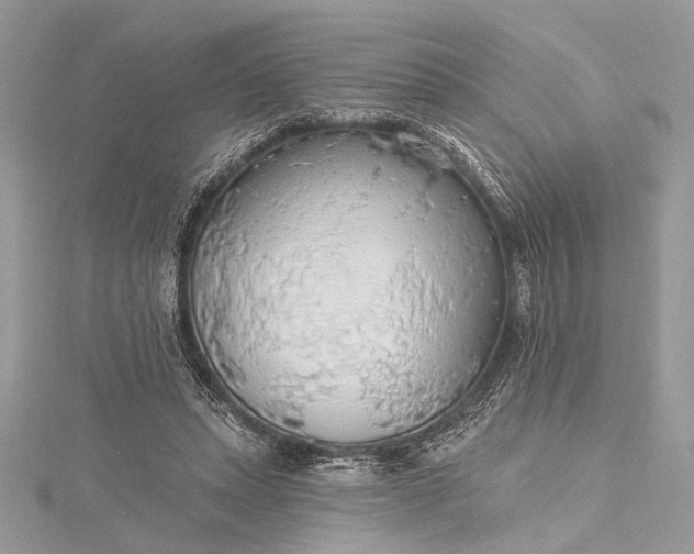 X0000115490447200911201600