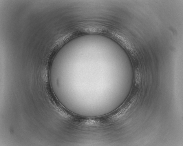 X0000115490453200911201600