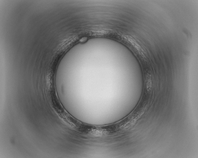 X0000115490455200911201600