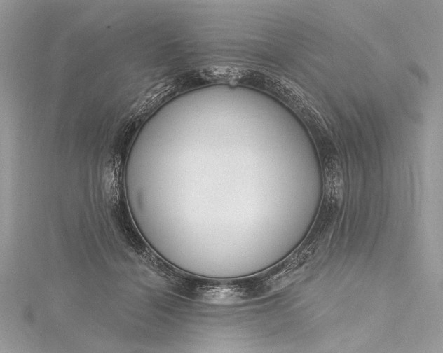 X0000115490460200911201600