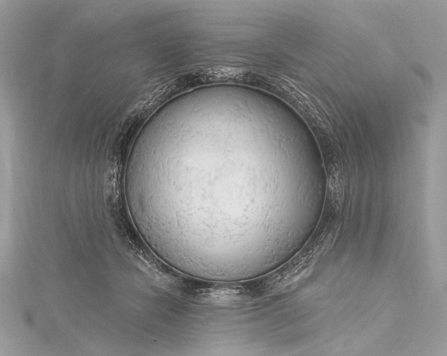 X0000115490462200911201600