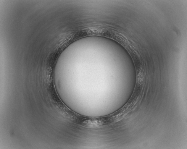 X0000115490464200911201600
