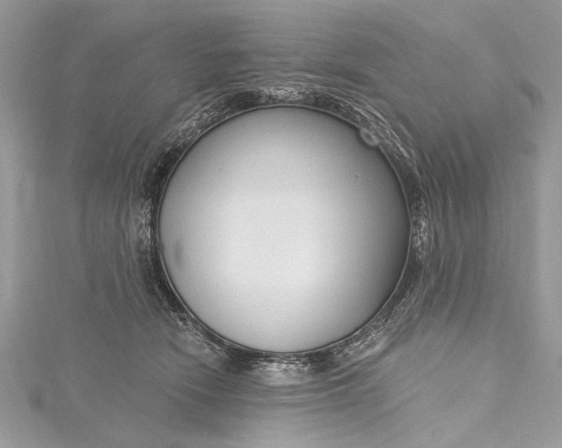 X0000115490466200911201600