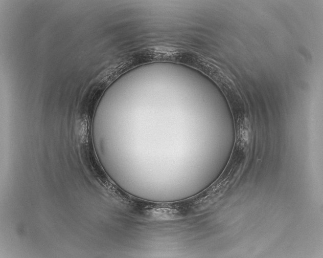 X0000115490468200911201600