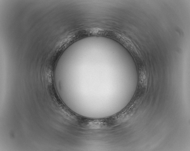 X0000115490470200911201600