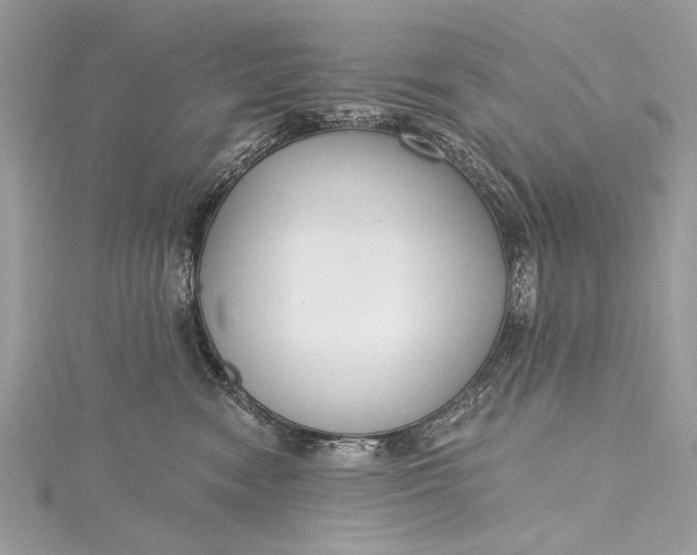 X0000115490474200911201601