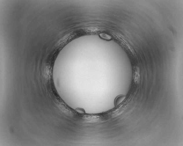 X0000115490476200911201601