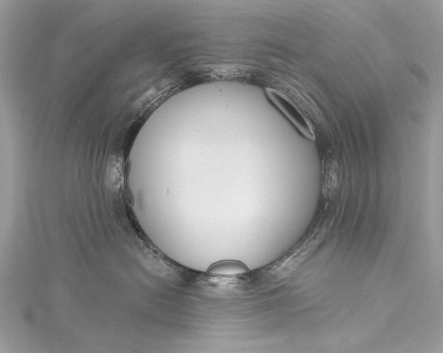 X0000115490478200911201601