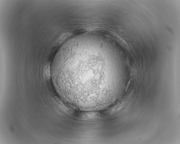 X0000115490479200911201601