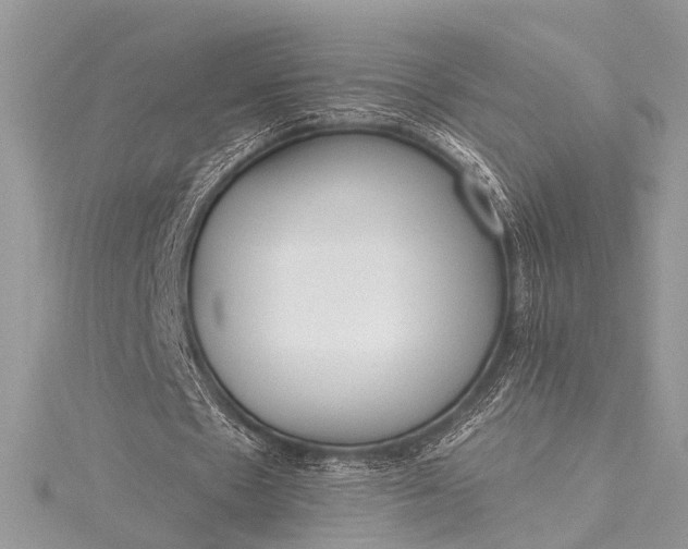 X0000115490481200911201600