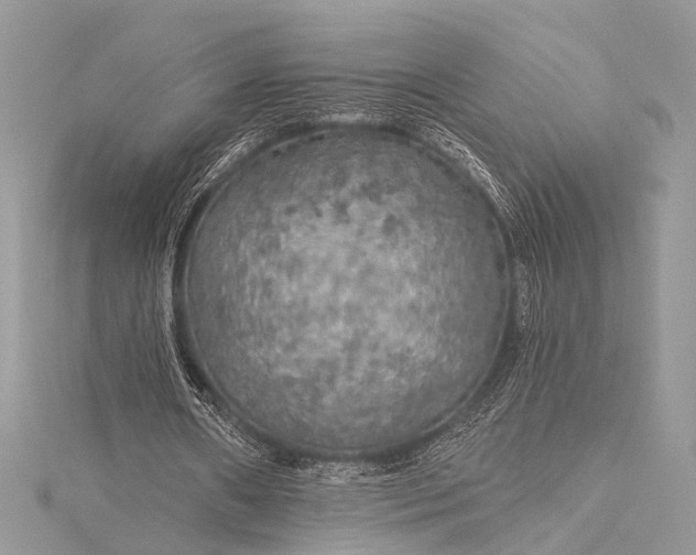 X0000115490482200911201600