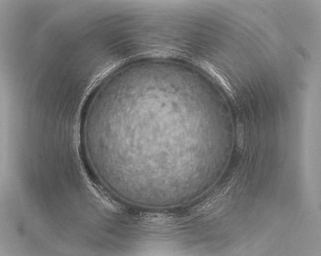 X0000115490486200911201600