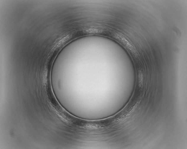 X0000115490490200911201600