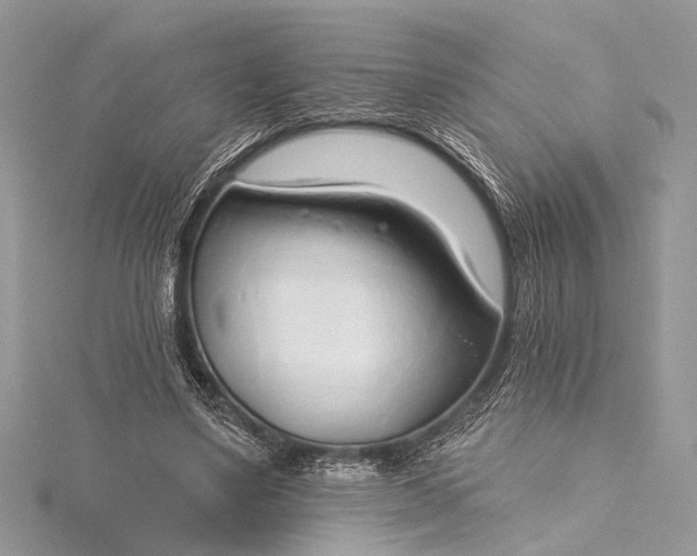 X0000115490491200911201600