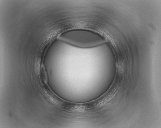 X0000115490493200911201600