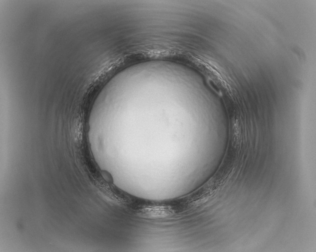 X0000115490499200911201600