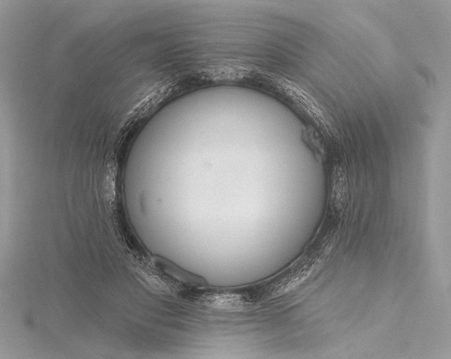 X0000115490501200911201600