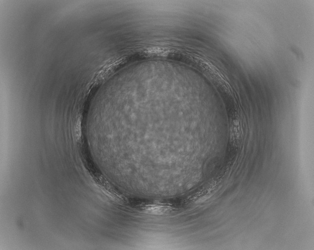 X0000115490504200911201600