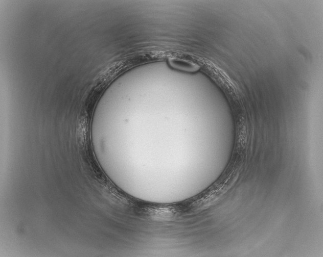 X0000115490513200911201559